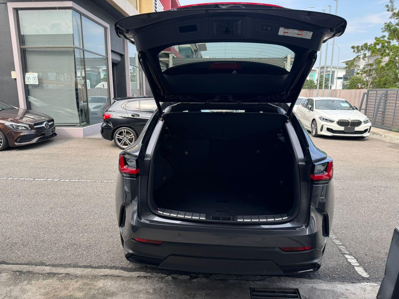 Lexus NX250 HUD 360 CAMERA SUNROOF 2023