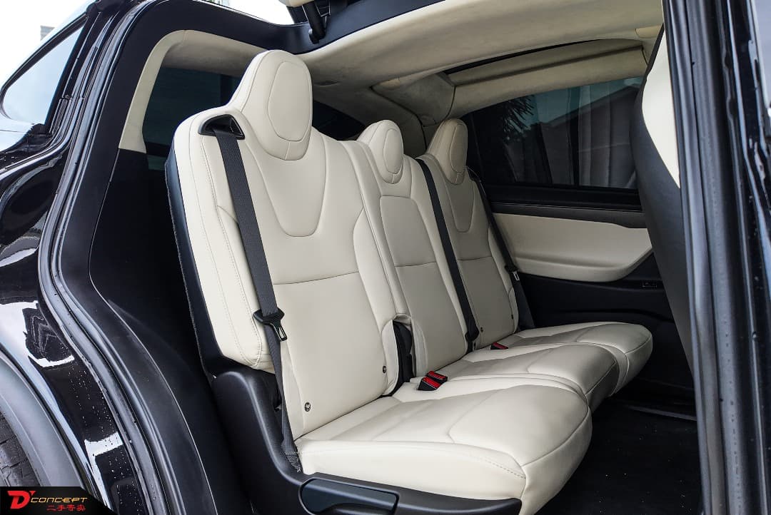 Tesla Model X 100D 2018