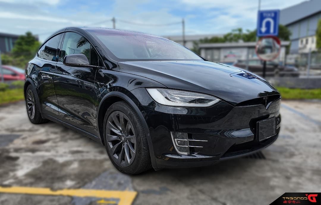Tesla Model X 100D 2018
