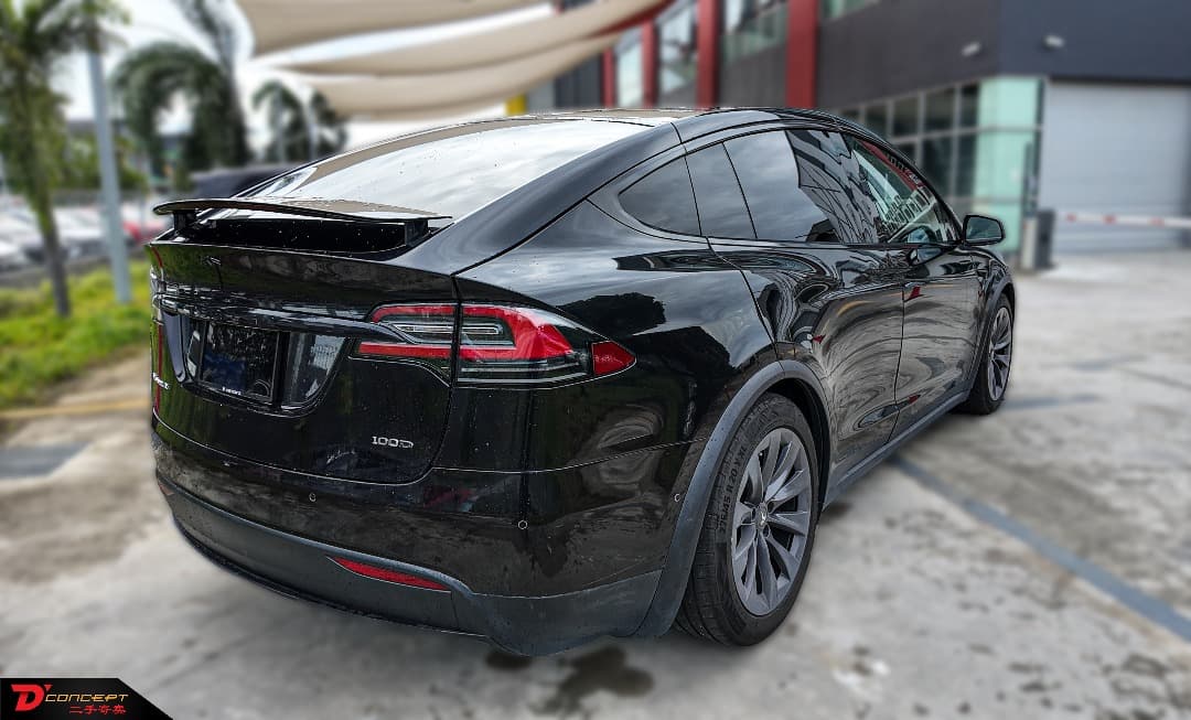 Tesla Model X 100D 2018