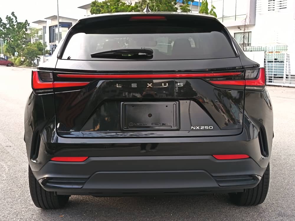Lexus NX250 Standard Station 2022