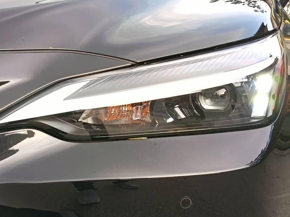 Lexus NX250 Standard Station 2022