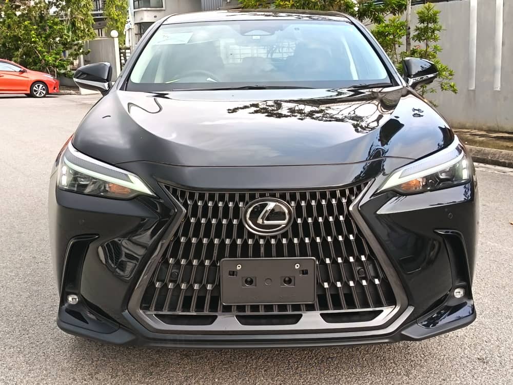 Lexus NX250 Standard Station 2022