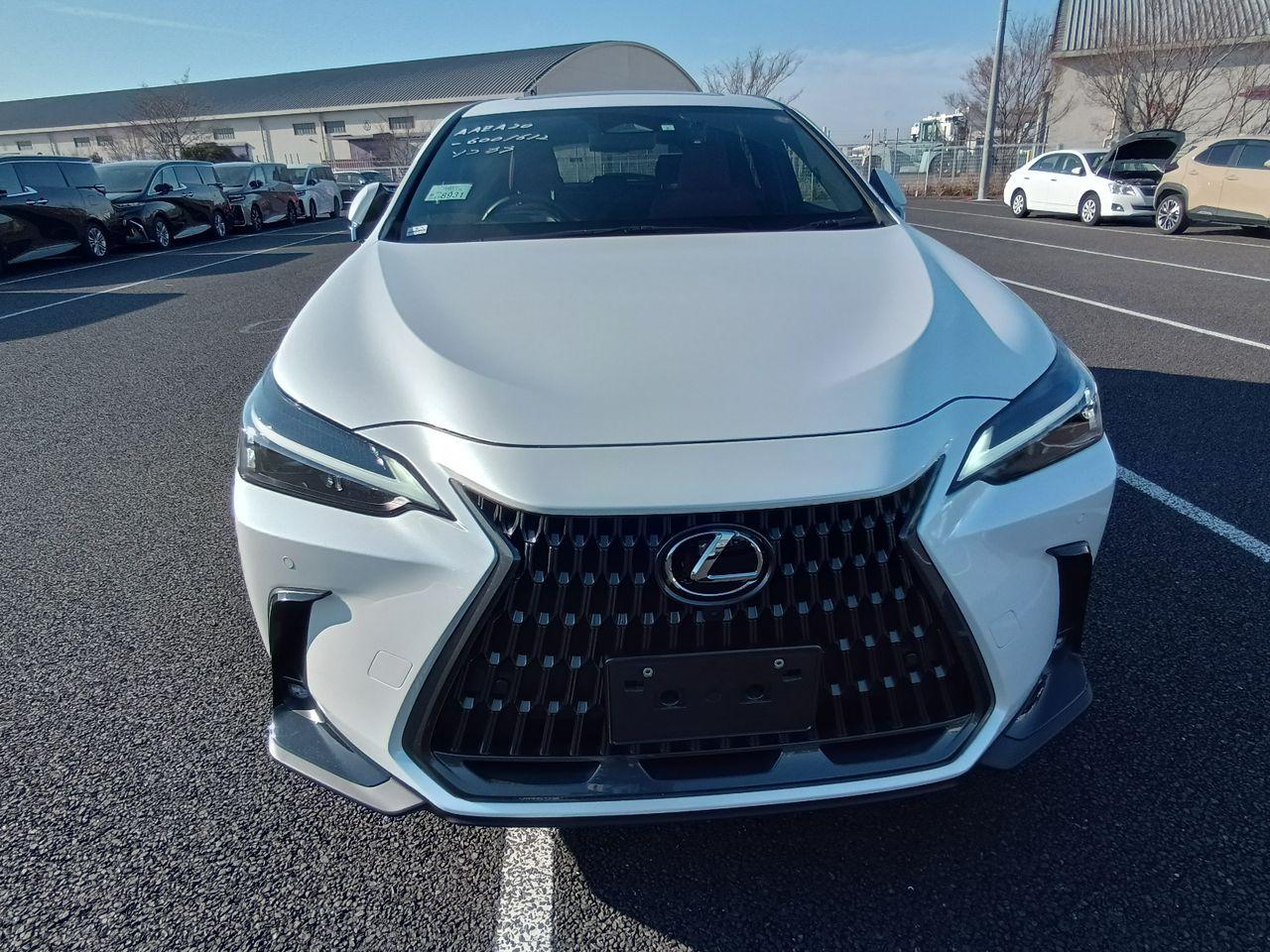 Lexus NX250 360 CAMERA HUD SR 5A 2023