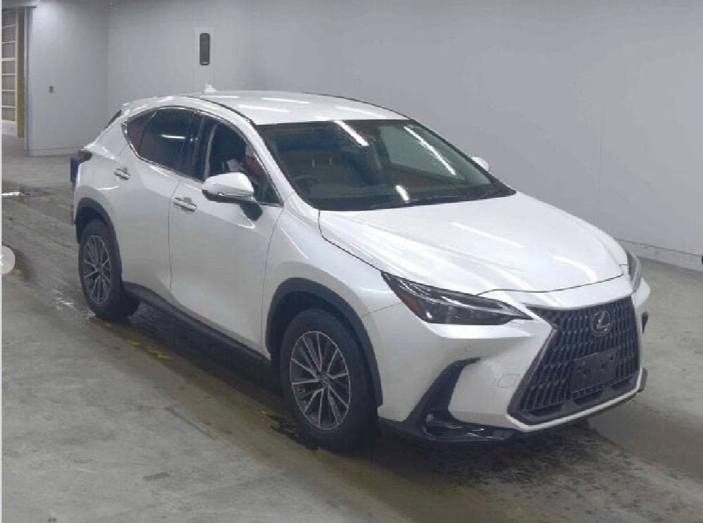 Lexus NX 250 2023