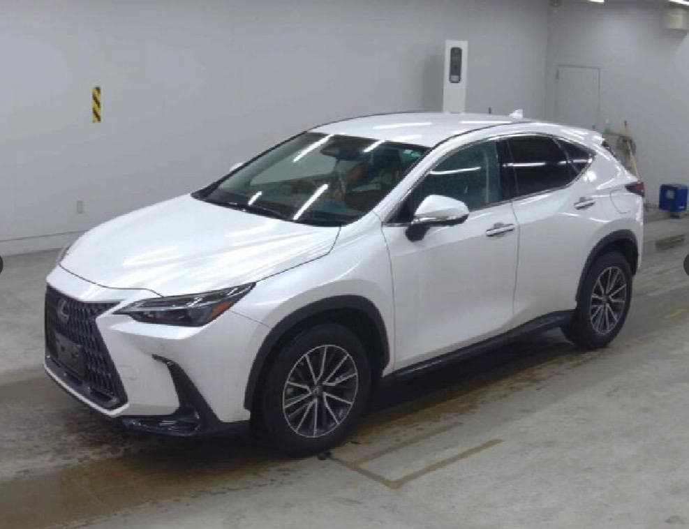 Lexus NX 250 2023