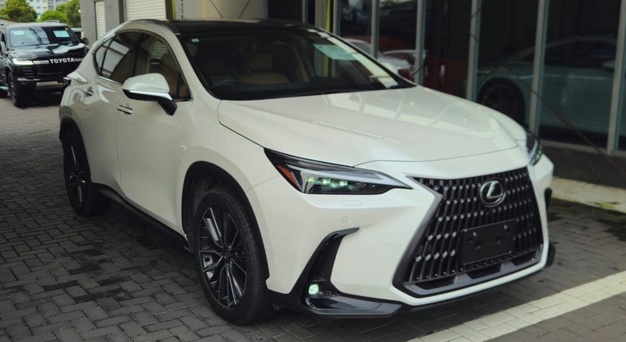 Lexus NX250 Ver L Mark Levinson 2023