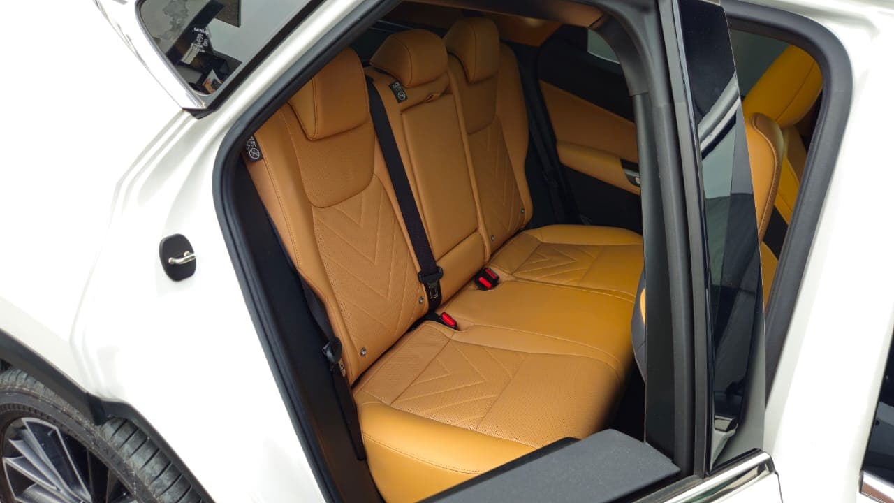 Lexus NX250 Ver L Mark Levinson 2023